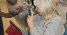 perchten-graz-goestinger-hoellen-teufel-2025-Center West_041225-04505