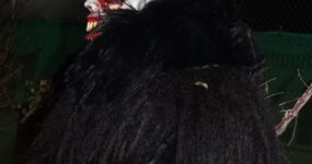 perchten-graz-goestinger-hoellen-teufel-Dobl-Zwaring-2025-DSC01355