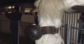 perchten-graz-goestinger-hoellen-teufel-Dobl-Zwaring-2025-DSC01400