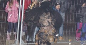 perchten-graz-goestinger-hoellen-teufel-Dobl-Zwaring-2025-DSC01404