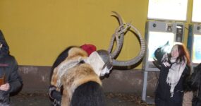 perchten-graz-goestinger-hoellen-teufel-GH-Fasching-2025-DSC01783