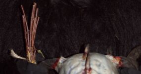 perchten-graz-goestinger-hoellen-teufel-Passail-2025-DSC01447