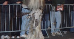 perchten-graz-goestinger-hoellen-teufel-Passail-2025-DSC01497