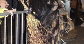 perchten-graz-goestinger-hoellen-teufel-Stadt-Graz-2025-DSC01533