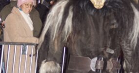 perchten-graz-goestinger-hoellen-teufel-Stadt-Graz-2025-DSC01595