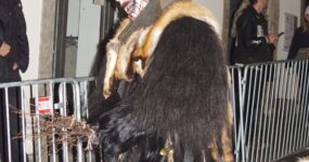 perchten-graz-goestinger-hoellen-teufel-Stadt-Graz-2025-DSC01620