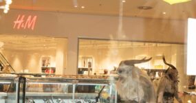 WhatsApp Image 2026-03-08 at 18.36.38