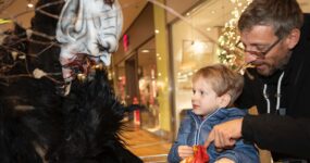 WhatsApp Image 2026-03-08 at 18.37.01