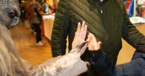 WhatsApp Image 2026-03-08 at 18.40.14