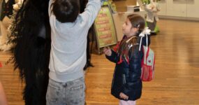 WhatsApp Image 2026-03-08 at 18.43.42 (2)